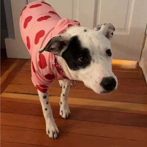 Dog sweatshirt with hearts